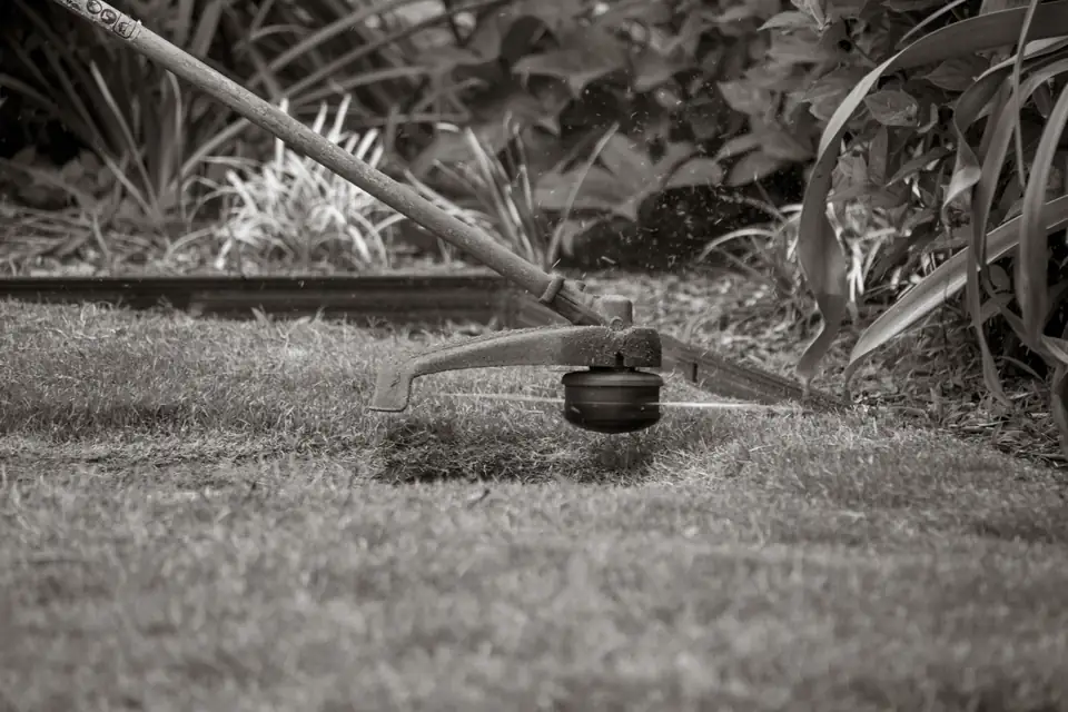 String trimmer edging a green lawn