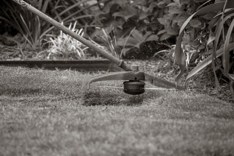 Stock close-up of a string trimmer edging a green lawn
